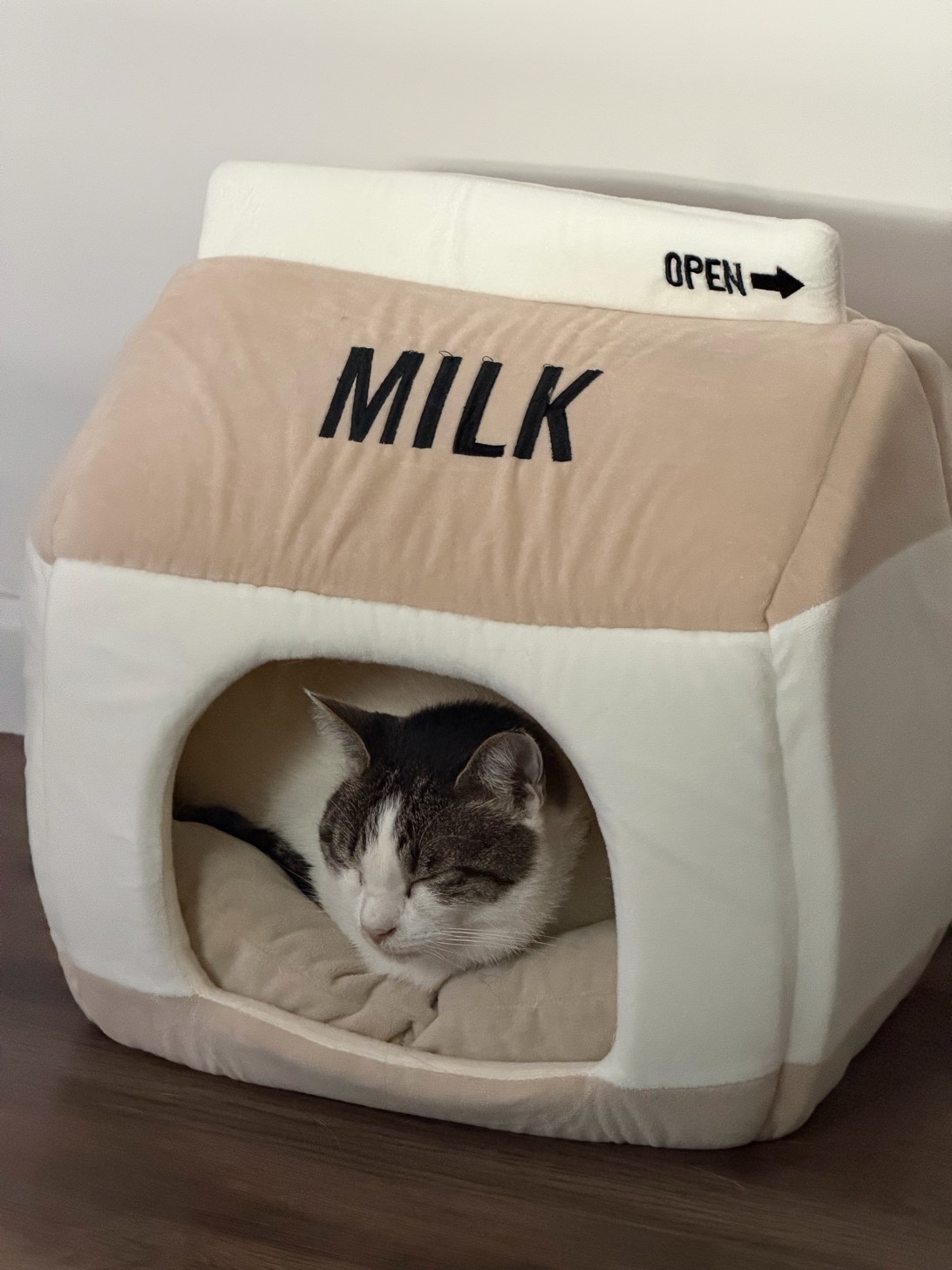 Mickey, a cat found on Chonk Finder